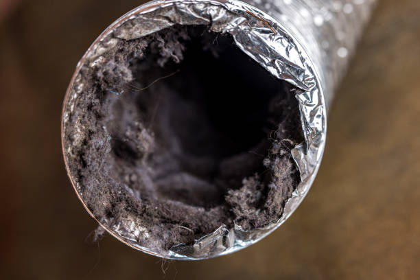 Best Commercial Air Duct Cleaning  in Riverside, AL