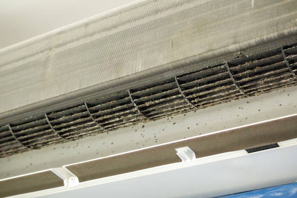 Best Professional Duct Cleaning Services  in Riverside, AL